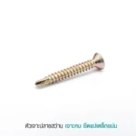 สกรูปลายสว่าน อเนกประสงค์ PROFAST ยึดแปเหล็กแน่น