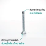 สกรูไม้ฝา ปลายสว่าน ไม่มีปีก เจาะไวยึดแน่น