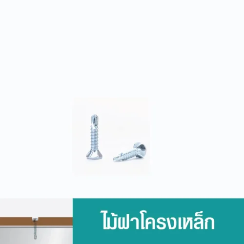 สกรูไม้ฝาปลายสว่าน ไม่มีปีก PROFAST กันสนิม หัวเจาะคม