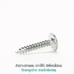 สกรูหัวร่มไม้ หัวเจาะปลายแหลม เจาะได้ไว