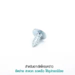 สกรูแทนรีเวท PROFAST ยึดโครงคร่าว หัวแฉกไม่ตื้น ไม่ลึกเกิน