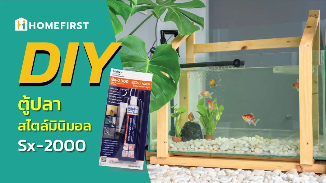 DIY ตู้ปลา สไตล์มินิมอล