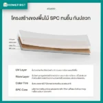 โครงสร้างไม้พื้น SPC ทนชื้น กันปลวก
